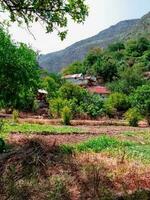 Some houses in the countryside photo