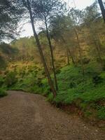 Journey to explore a charming gravel road in a stunning landscape photo