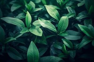 Natural background border with fresh juicy leaves with soft focus outdoors in nature. AI generative photo