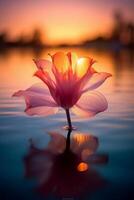 Macro photography of an epic sunset at a beautiful scenic lake as seen through the translucent petal of a flower blooming in the grass. photo