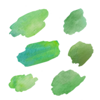 Set of green watercolor gradient strokes on transparent background. Abstract spreading of paint, drops of pigment, outlines of ink blots on textured paper png