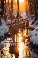 Stunning photography of a herd of deer in frozen forest. photo