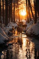 Stunning photography of a herd of deer in frozen forest. photo