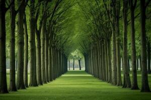 un fila de arboles en un grande parque. ai generativo foto