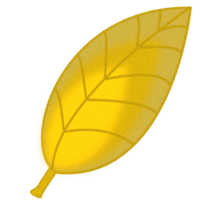 Jaune feuille conception png