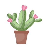 linda cactus ilustración png