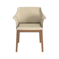 fauteuil voor huis en kantoor Aan een transparant achtergrond. geïsoleerd voorwerp png. 3d renderen png