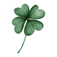 S t. día de San Patricio png