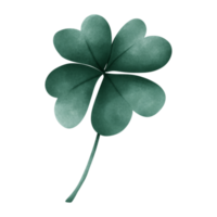 St. Patrick's day png
