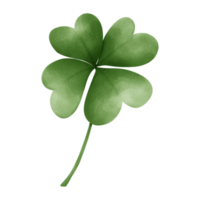 S t. día de San Patricio png