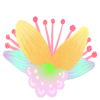 flower pink color png