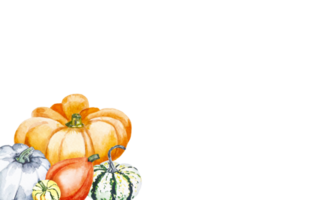 Pumpkin composition. Watercolor banner of bright pumpkins. Illustration with vegetables. png