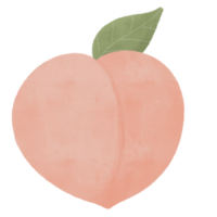 ilustración de fruta de durazno png