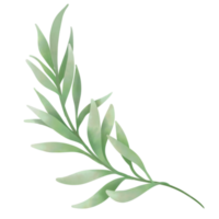 gren av blad png