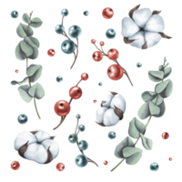 bomull blomställningar, dekorativ bär och eukalyptus. vattenfärg illustration. isolerat objekt från en stor uppsättning av mysigt vinter. för dekoration, design, kompositioner, dekor. png