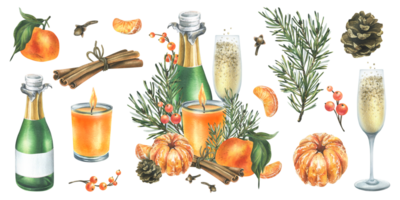 Christmas decor with tangerines, champagne. sweets and pine branches. Watercolor illustration, hand drawn. For congratulations and holiday. Isolated composition with elements png