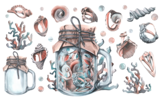 Different seashells inside a glass jar with a handle and closed craft paper with a string, surrounded by corals. Watercolor illustration hand drawn. Isolated elements png