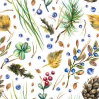 Autumn forest plants, blueberries, lingonberries, cones, leaves, pine needles, moss and grass. Watercolor illustration, hand drawn. Seamless pattern png