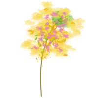 Wald Baum Pflanzen png