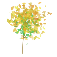 bosque árbol plantas png