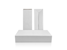 conjunto de blanco caja alto forma producto embalaje. transparente antecedentes png