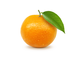 maduro laranja. transparente fundo png