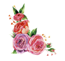 aguarela grupo do flores, mão desenhado floral elemento, lindo Flor png