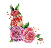 waterverf bundel van bloemen, hand- getrokken bloemen element, mooi bloesem png