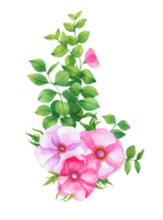 acuarela manojo de flores, mano dibujado floral elemento, hermosa florecer png