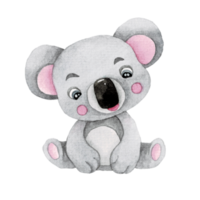 Cartoon animal watercolor illustration with koala png