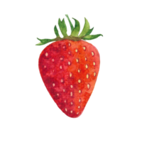 Beautiful watercolor illustration of strawberry fruit png