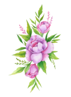 Aquarell Bündel von Blumen, Hand gezeichnet Blumen- Element, schön blühen png