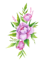 vattenfärg knippa av blommor, hand dragen blommig element, skön blomma png