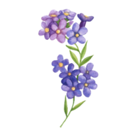 acquerello mazzo di fiori, mano disegnato floreale elemento, bellissimo fiorire png