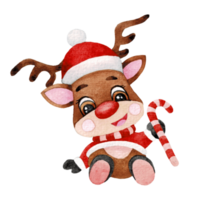 Happy animal character with Christmas hat , cute animal watercolor png