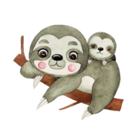 Cute Sloth watercolor, cute cartoon animal character png