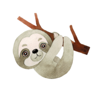 Cute Sloth watercolor, cute cartoon animal character png