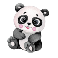 Cartoon animal watercolor illustration with panda png