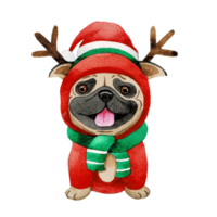 contento animal personaje con Navidad sombrero , linda animal acuarela png