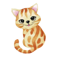 Cartoon animal watercolor illustration with cat png