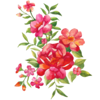 aquarelle bouquet de fleurs, main tiré floral élément, magnifique fleur png