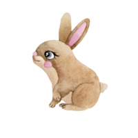 Cartoon animal watercolor illustration with rabbit png
