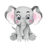 tekenfilm dier waterverf illustratie met olifant png