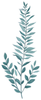 Watercolor green leaf. png