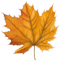 Watercolor autumn leaf. AI Generative png