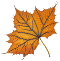 aquarelle l'automne feuille. ai génératif png