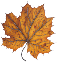 aquarelle l'automne feuille. ai génératif png