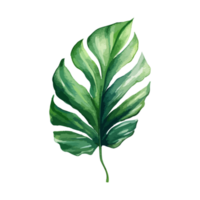 grön blad vattenfärg för element och dekoration generativ ai png