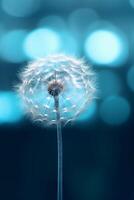 A jellyfish dandelion in blue with light shining through it, in the style of lensbaby velvet. AI generative photo