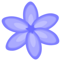 Purple flower on transparent background. png